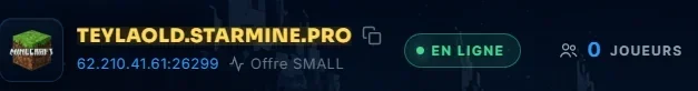 status serveur