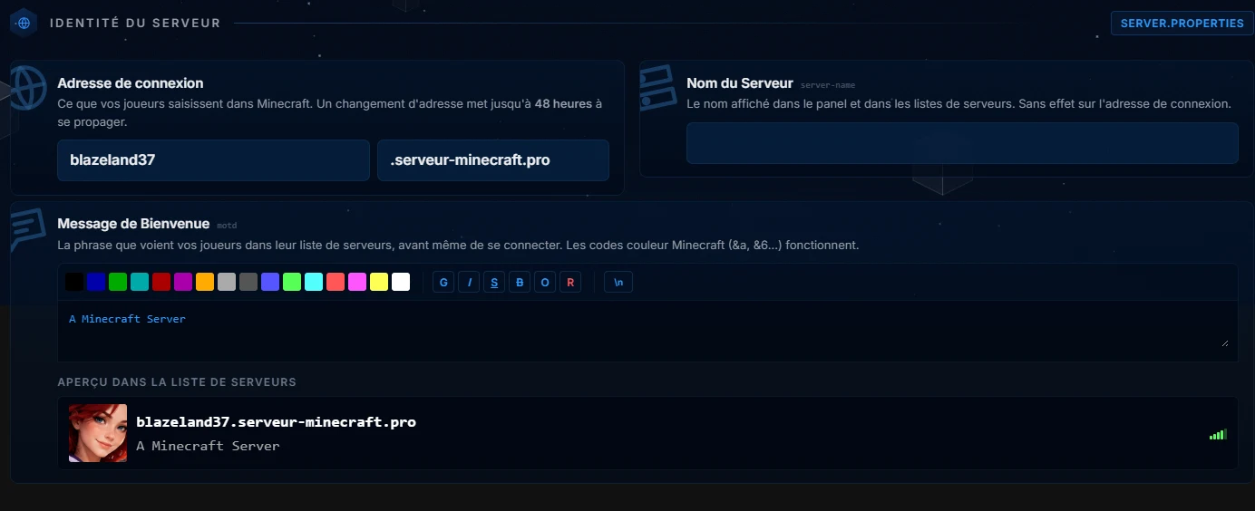 La page Réglages du panel : server.properties en clair
