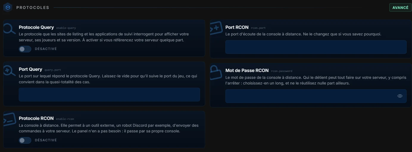 La page Réglages du panel : server.properties en clair